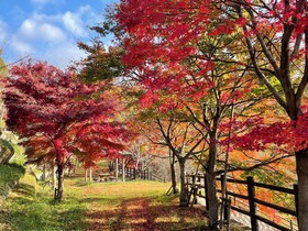 Hotel Hakuryuko Resort