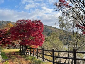 Hotel Hakuryuko Resort