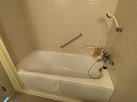 Hotel Hakuryuko Resort