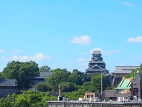 Kumamoto Green