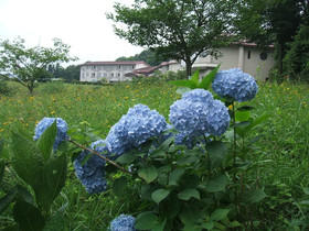 Ikoi no Mura Heritage Minoyama