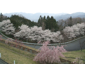 Ikoi no Mura Heritage Minoyama