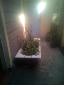 77 Guest House
