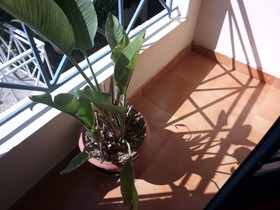 Kitui Premier Resort