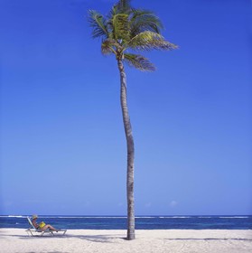 Nisbet Plantation Beach Club
