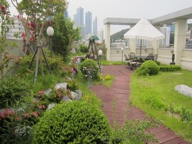 Hostel The New Day