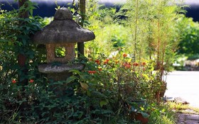 Gyeongju Bomun Pension