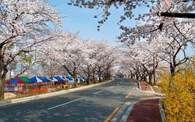 Gyeongju Capri Pension