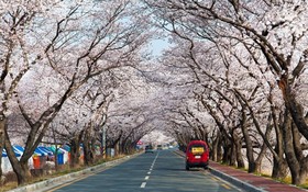 Gyeongju Capri Pension