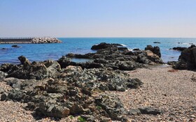 Gyeongju Ocean Tour Pension