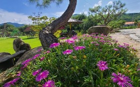 Muju Windmills and Streams Pension