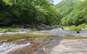 Muju Windmills and Streams Pension