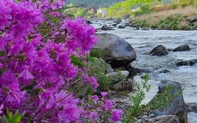 Muju Windmills and Streams Pension