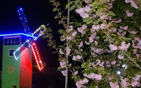 Muju Windmills and Streams Pension