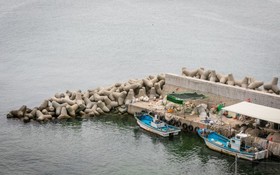 Pohang Bagliore Pension