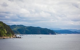 Pohang Bagliore Pension
