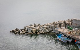 Pohang Bagliore Pension