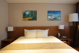 Yongpyong Dragon Valley Hotel