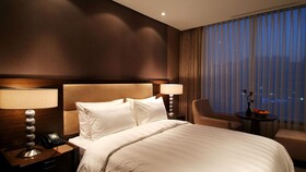 Lotte City Hotel Mapo