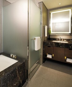 Lotte City Hotel Mapo