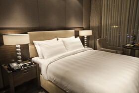 Lotte City Hotel Mapo