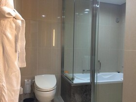 Lotte City Hotel Mapo