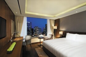 Lotte City Hotel Mapo