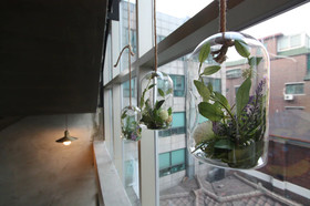 NABI Hostel
