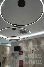 Zizel Signity