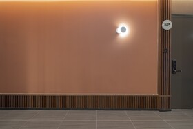 Brown Dot Siheung Geobuksum