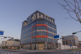Brown Dot Siheung Geobuksum