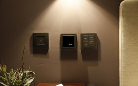 Brown Dot Yongin Branch