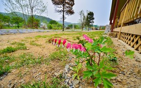 Yongin Unhak Pension