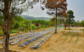 Yongin Unhak Pension