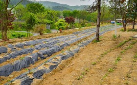 Yongin Unhak Pension