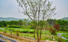 Yongin Unhak Pension