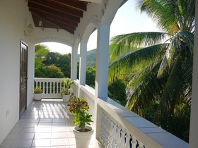 A Paradise View