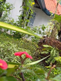 The Residence Bentota