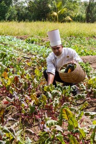 Sigiriana Resort by Thilanka