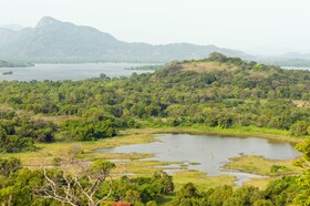 Wild Grass Nature Resort