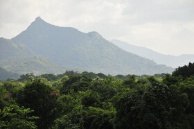 Wild Grass Nature Resort