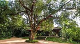 Wild Grass Nature Resort