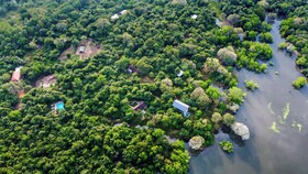 Wild Grass Nature Resort