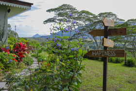 Green Cottage Chamarel
