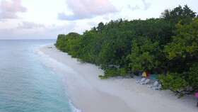 Beach Veli
