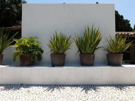 Hotel Luna Canela Rotamundos