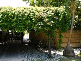 Hotel Luna Canela Rotamundos