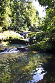 La Casona de Don Porfirio