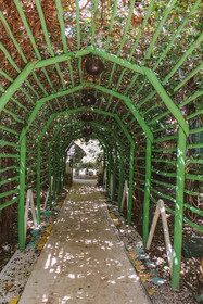 Xolumado Inspiration Village by Karisma