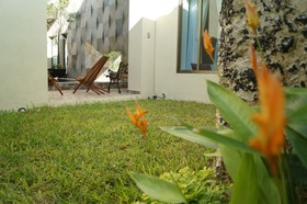 Hotel Casa Palomino
